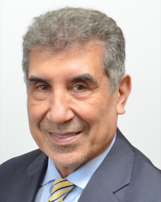 Dr. Shaheen Negahban